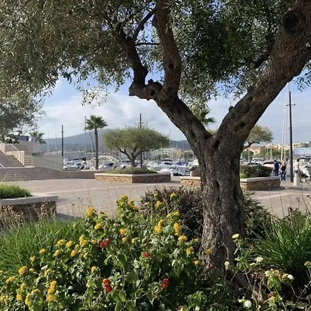 Avec Piscine, Parking Privatif, Loggia Et Acces A Pied - - Fr-1-226-534 Sainte-Maxime